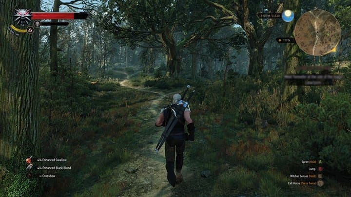 TheWitcher2