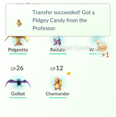 pokemong-go-candy